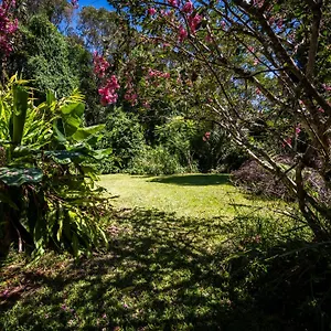  Apartment Tranquil Rainforest
